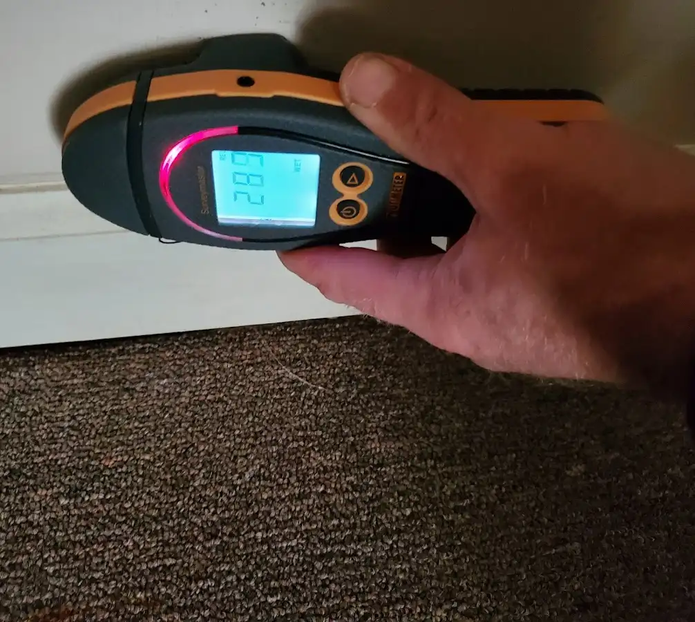 Moisture detection at baseboard during Burst Pipe Cleanup in Baltimore